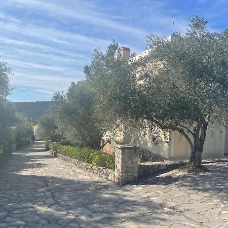 Villa Thetis Bigovo Εξωτερικό φωτογραφία